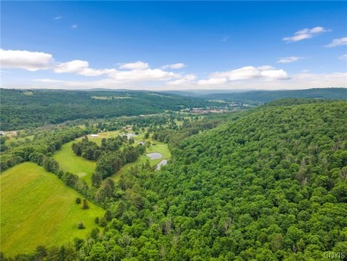 This 18 hole golf course with 318 acres is located in Candor NY on Catatonk Golf Club, Inc. in New York - for sale on GolfHomes.com, golf home, golf lot