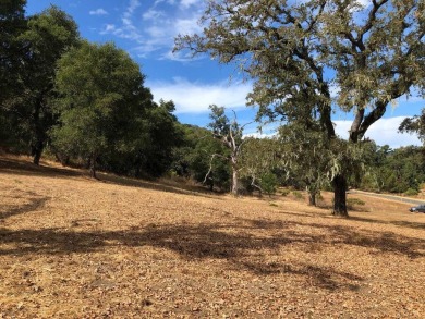 This wonderful 2.14 acre Santa Lucia Preserve parcel is just off on The Preserve Golf Club in California - for sale on GolfHomes.com, golf home, golf lot