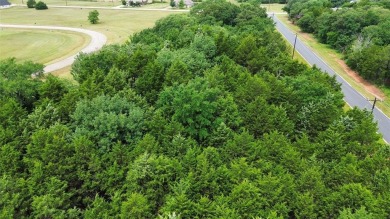 Tucked away in the sought-after Palisade Addition of Rock Creek on Rock Creek Golf Club in Texas - for sale on GolfHomes.com, golf home, golf lot