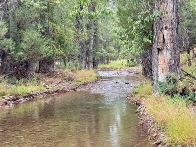 This Rocky Mountain Log Home has it all! Great value with this 2 on Double Arrow Lodge in Montana - for sale on GolfHomes.com, golf home, golf lot