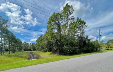 Introducing a remarkable opportunity to own a pristine vacant on Wedgefield Golf Club in Florida - for sale on GolfHomes.com, golf home, golf lot