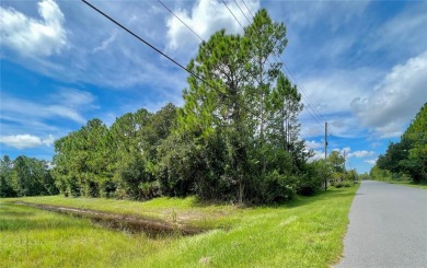 Introducing a remarkable opportunity to own a pristine vacant on Wedgefield Golf Club in Florida - for sale on GolfHomes.com, golf home, golf lot