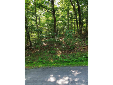 Tucked away in the woods this lot offers the perfect canvas for on Bryce Resort Golf Course in Virginia - for sale on GolfHomes.com, golf home, golf lot