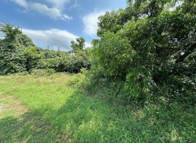 MAJOR PRICE IMPROVEMENT - LOT HAS BEEN CLEARED and IS READY FOR on Granbury Country Club in Texas - for sale on GolfHomes.com, golf home, golf lot