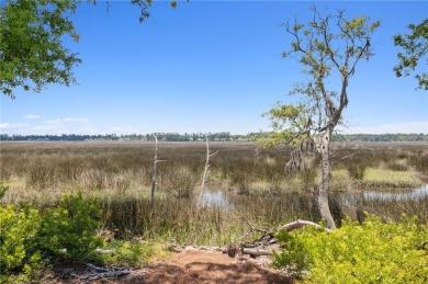 Enjoy amazing marsh views from the back porch, perfect for on Laurel Island Links in Georgia - for sale on GolfHomes.com, golf home, golf lot