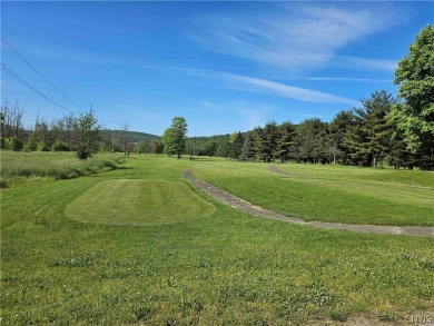 This 18 hole golf course with 318 acres is located in Candor NY on Catatonk Golf Club, Inc. in New York - for sale on GolfHomes.com, golf home, golf lot