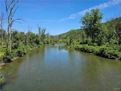 This 18 hole golf course with 318 acres is located in Candor NY on Catatonk Golf Club, Inc. in New York - for sale on GolfHomes.com, golf home, golf lot