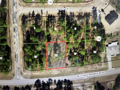 Nestled in the highly desirable deed restricted Community of on Citrus Springs Country Club in Florida - for sale on GolfHomes.com, golf home, golf lot