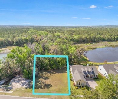 Over 1/4 acre lot in Southern Hills on a conservation! Privacy on Southern Hills Plantation Club in Florida - for sale on GolfHomes.com, golf home, golf lot