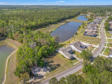 Over 1/4 acre lot in Southern Hills on a conservation! Privacy on Southern Hills Plantation Club in Florida - for sale on GolfHomes.com, golf home, golf lot