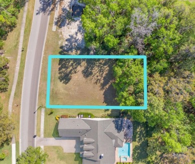 Over 1/4 acre lot in Southern Hills on a conservation! Privacy on Southern Hills Plantation Club in Florida - for sale on GolfHomes.com, golf home, golf lot