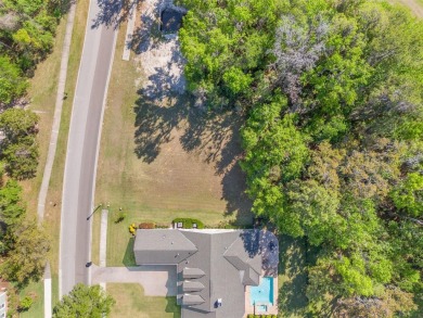 Over 1/4 acre lot in Southern Hills on a conservation! Privacy on Southern Hills Plantation Club in Florida - for sale on GolfHomes.com, golf home, golf lot