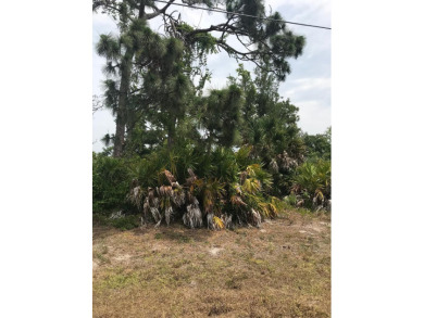 Opportunity to own an oversized lot in a non-flood zone, with on Rotonda Golf and Country Club - Long Marsh  in Florida - for sale on GolfHomes.com, golf home, golf lot