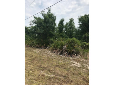 Opportunity to own an oversized lot in a non-flood zone, with on Rotonda Golf and Country Club - Long Marsh  in Florida - for sale on GolfHomes.com, golf home, golf lot