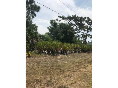 Opportunity to own an oversized lot in a non-flood zone, with on Rotonda Golf and Country Club - Long Marsh  in Florida - for sale on GolfHomes.com, golf home, golf lot