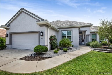 Welcome to this stunning custom-designed Newcastle model, where on Skyview At Terra Vista Golf and Country Club in Florida - for sale on GolfHomes.com, golf home, golf lot