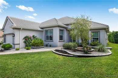 Welcome to this stunning custom-designed Newcastle model, where on Skyview At Terra Vista Golf and Country Club in Florida - for sale on GolfHomes.com, golf home, golf lot