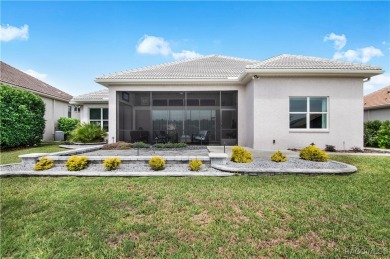 Welcome to this stunning custom-designed Newcastle model, where on Skyview At Terra Vista Golf and Country Club in Florida - for sale on GolfHomes.com, golf home, golf lot