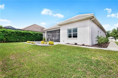 Welcome to this stunning custom-designed Newcastle model, where on Skyview At Terra Vista Golf and Country Club in Florida - for sale on GolfHomes.com, golf home, golf lot