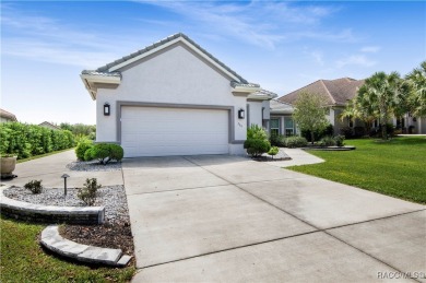 Welcome to this stunning custom-designed Newcastle model, where on Skyview At Terra Vista Golf and Country Club in Florida - for sale on GolfHomes.com, golf home, golf lot