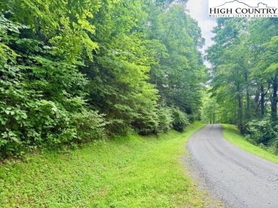 Sloping, wooded lot located in the desirable Shadow Brook on Mountain Aire Golf Course in North Carolina - for sale on GolfHomes.com, golf home, golf lot