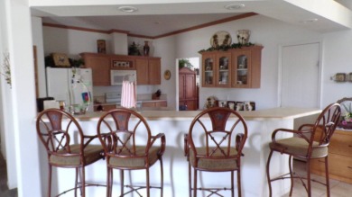 This amazing 4-bedroom, 3-bathroom Palm Harbor home is a gem on Schalamar Creek Golf and Country Club in Florida - for sale on GolfHomes.com, golf home, golf lot