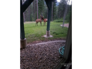 Views, wildlife & your own place in the mountains, just over an on Terrace Lakes Golf Resort in Idaho - for sale on GolfHomes.com, golf home, golf lot