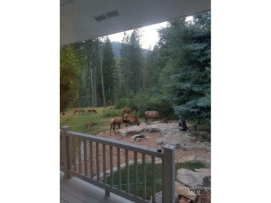 Views, wildlife & your own place in the mountains, just over an on Terrace Lakes Golf Resort in Idaho - for sale on GolfHomes.com, golf home, golf lot