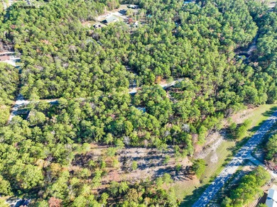 This stunning property nestled in Rayburn Country is a nature on Rayburn Country Club in Texas - for sale on GolfHomes.com, golf home, golf lot