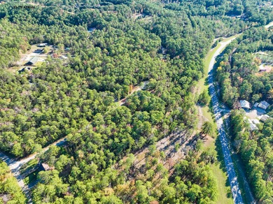 This stunning property nestled in Rayburn Country is a nature on Rayburn Country Club in Texas - for sale on GolfHomes.com, golf home, golf lot