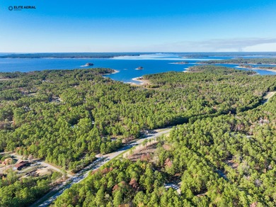 This stunning property nestled in Rayburn Country is a nature on Rayburn Country Club in Texas - for sale on GolfHomes.com, golf home, golf lot