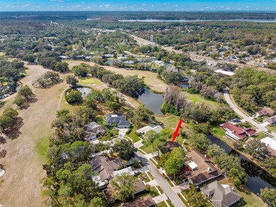 Spaciousness and privacy!  Welcome home to your 3 bedroom, 2.5 on Tarpon Woods Golf Club in Florida - for sale on GolfHomes.com, golf home, golf lot