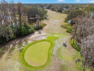 Spaciousness and privacy!  Welcome home to your 3 bedroom, 2.5 on Tarpon Woods Golf Club in Florida - for sale on GolfHomes.com, golf home, golf lot
