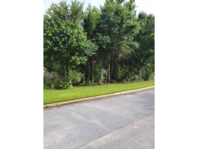 Welcome to 10410 Waterford Drive--an exceptional opportunity to on Scenic Hills Country Club in Florida - for sale on GolfHomes.com, golf home, golf lot