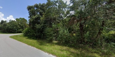 Discover an exceptional opportunity to claim your own private on Sabal Trace Golf and Country Club in Florida - for sale on GolfHomes.com, golf home, golf lot