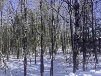 Discover the perfect setting for your Vermont dream home on this on Quechee Club in Vermont - for sale on GolfHomes.com, golf home, golf lot