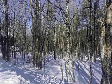 Discover the perfect setting for your Vermont dream home on this on Quechee Club in Vermont - for sale on GolfHomes.com, golf home, golf lot