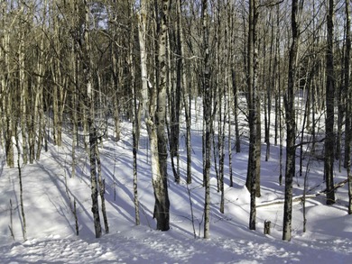 Discover the perfect setting for your Vermont dream home on this on Quechee Club in Vermont - for sale on GolfHomes.com, golf home, golf lot