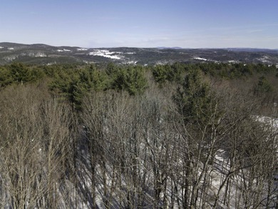 Discover the perfect setting for your Vermont dream home on this on Quechee Club in Vermont - for sale on GolfHomes.com, golf home, golf lot