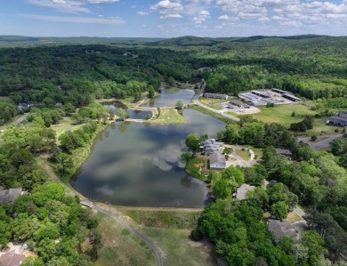 Discover your dream home that boasts breathtaking lake and golf on Diamondhead Golf and Country Club in Arkansas - for sale on GolfHomes.com, golf home, golf lot