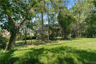 Carefree Living in Prestigious Terra Vista! Welcome to this on Skyview At Terra Vista Golf and Country Club in Florida - for sale on GolfHomes.com, golf home, golf lot