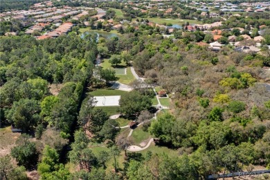 Carefree Living in Prestigious Terra Vista! Welcome to this on Skyview At Terra Vista Golf and Country Club in Florida - for sale on GolfHomes.com, golf home, golf lot