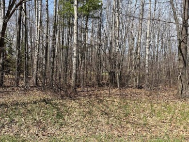 This incredible lot on Questview Golf Course is perfectly on Quest Golf Club in Michigan - for sale on GolfHomes.com, golf home, golf lot