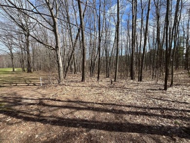 This incredible lot on Questview Golf Course is perfectly on Quest Golf Club in Michigan - for sale on GolfHomes.com, golf home, golf lot