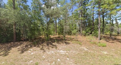 Discover the perfect opportunity to build on this .23-acre on Citrus Springs Country Club in Florida - for sale on GolfHomes.com, golf home, golf lot