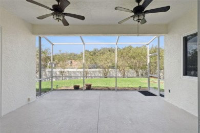 Discover the perfect blend of privacy, luxury, and community at on The Club at Eaglebrooke in Florida - for sale on GolfHomes.com, golf home, golf lot