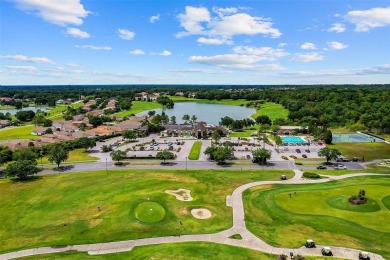 Discover the perfect blend of privacy, luxury, and community at on The Club at Eaglebrooke in Florida - for sale on GolfHomes.com, golf home, golf lot