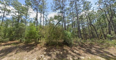 Under contract-accepting backup offers. Build your dream home on on Citrus Springs Country Club in Florida - for sale on GolfHomes.com, golf home, golf lot