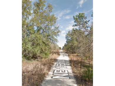 Great opportunity to own a piece of land in the Sunshine State on Williston Highlands Golf and Country Club in Florida - for sale on GolfHomes.com, golf home, golf lot