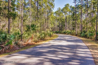 Your Dream Home Awaits in Nocatee -- Florida's #1 Rated on Palm Valley Golf Club in Florida - for sale on GolfHomes.com, golf home, golf lot